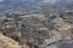 901-Canyon del Colca,15 luglio 2013